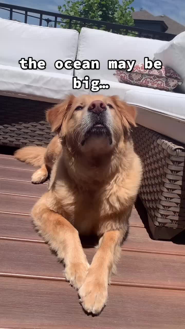 @B R O D Y