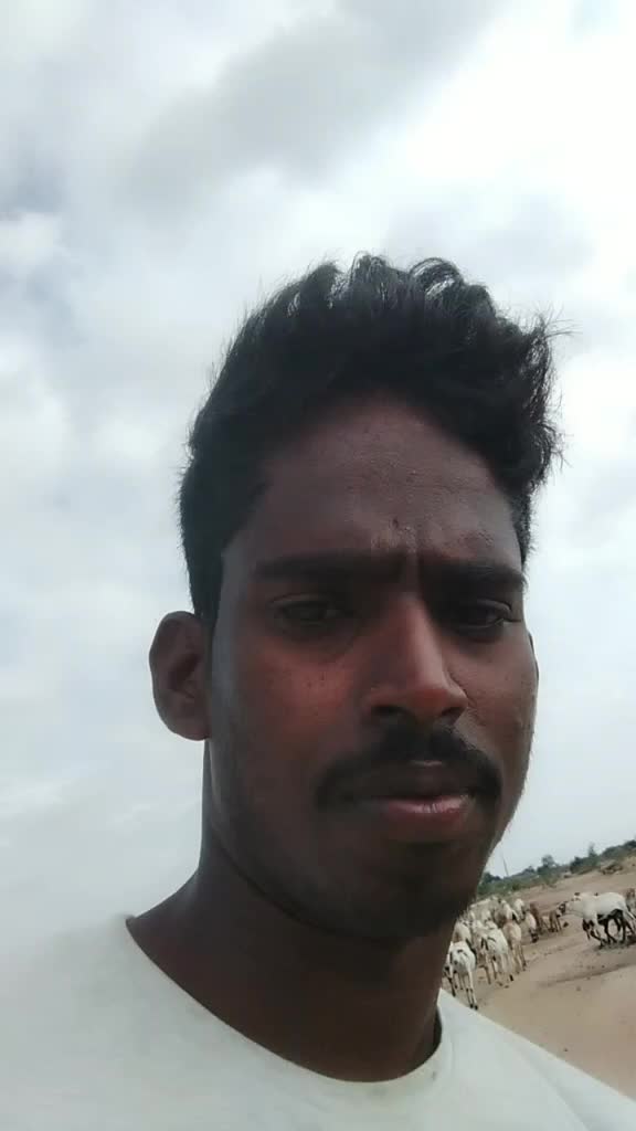 @raju
