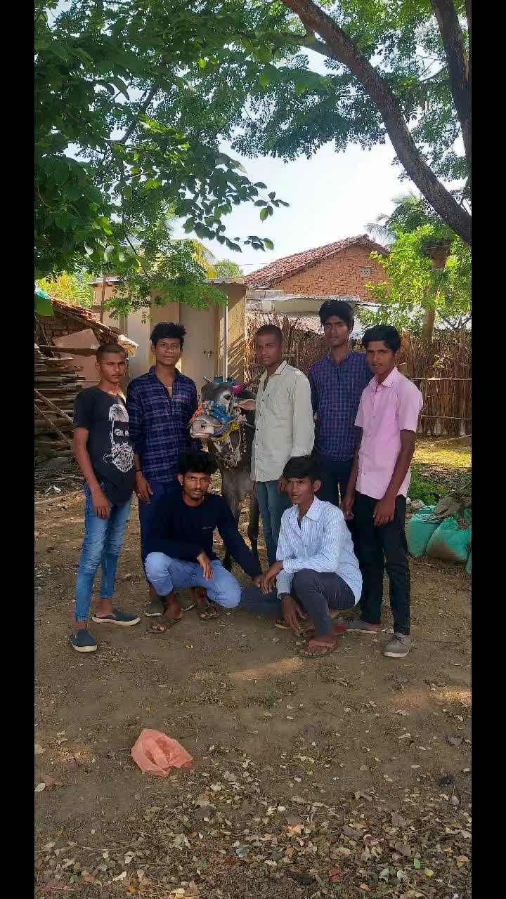 @sachin bull