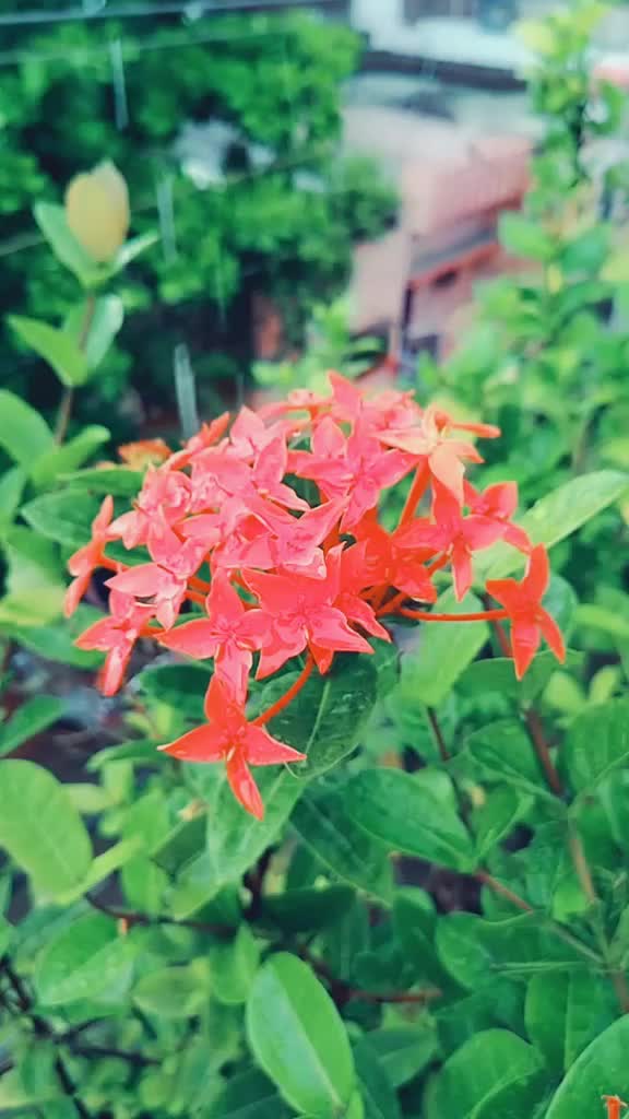 @🦄Niyati rathore🦄