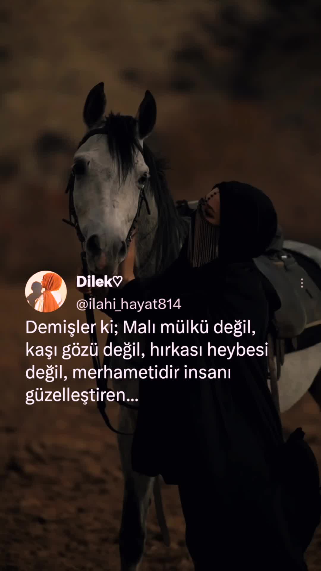 @𝓓𝓲𝓵𝓮𝓴 ♡