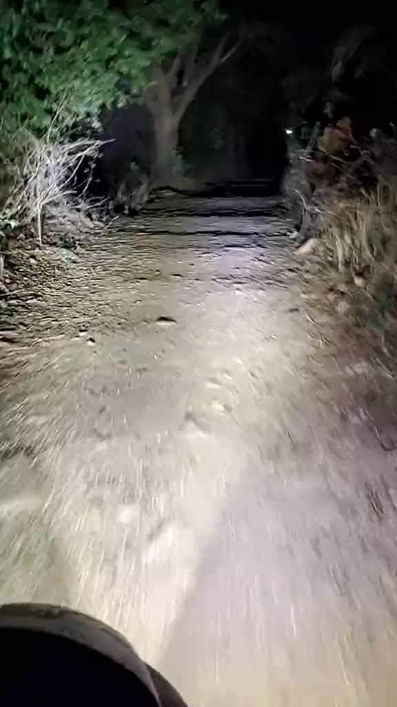 @group 007