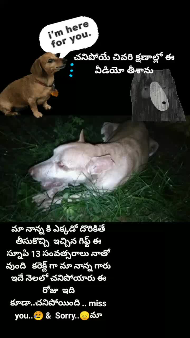 @rajganieddy1010