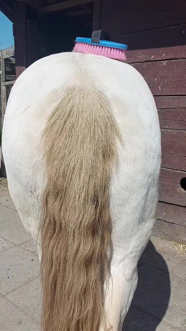 @Khaleesithecremello🦄