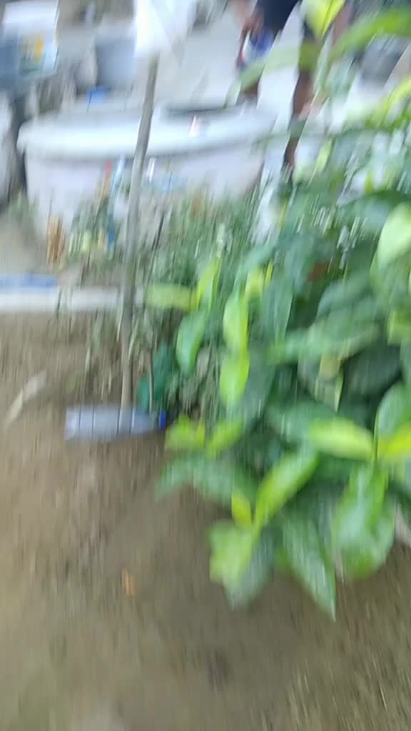 @DURGA TDR AKHIL