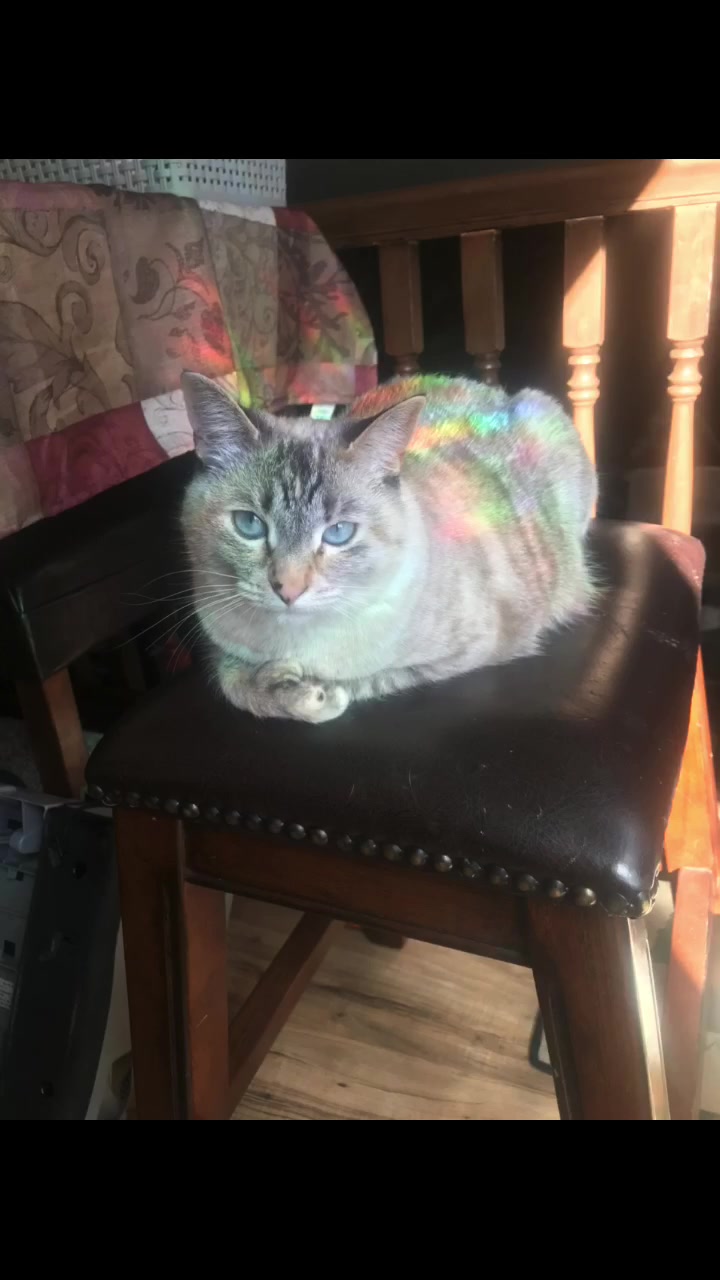 @𝐶𝑜𝑟𝑡𝑛𝑒𝑦 𝐿𝑦𝑛𝑛🪐