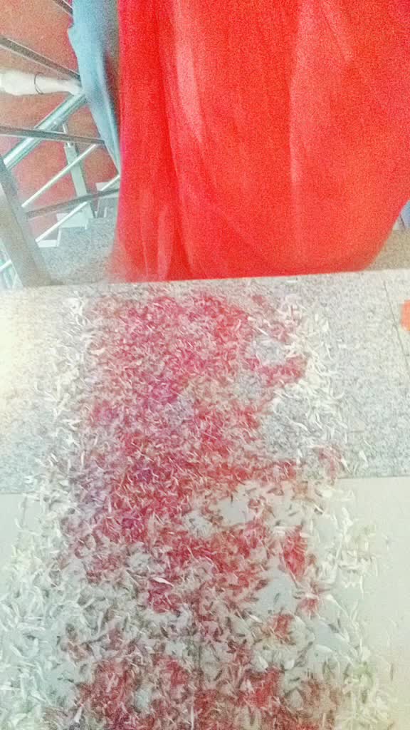 @vandana_brundha