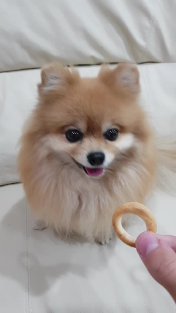 @busiya_cutie🐻♥️