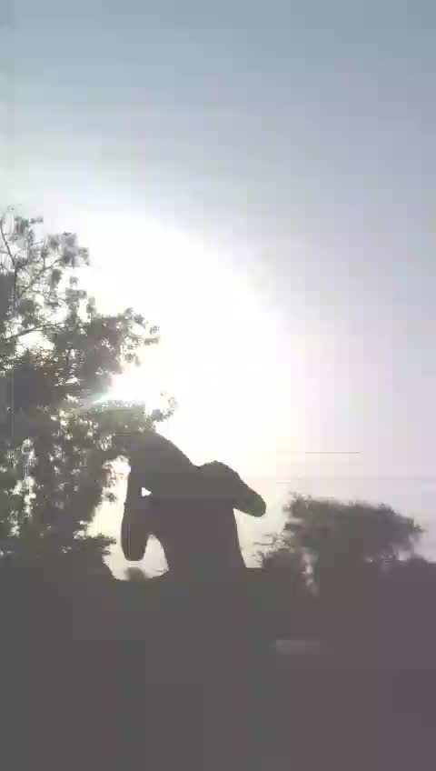 @🚩👑जय शिवराय👑🚩
