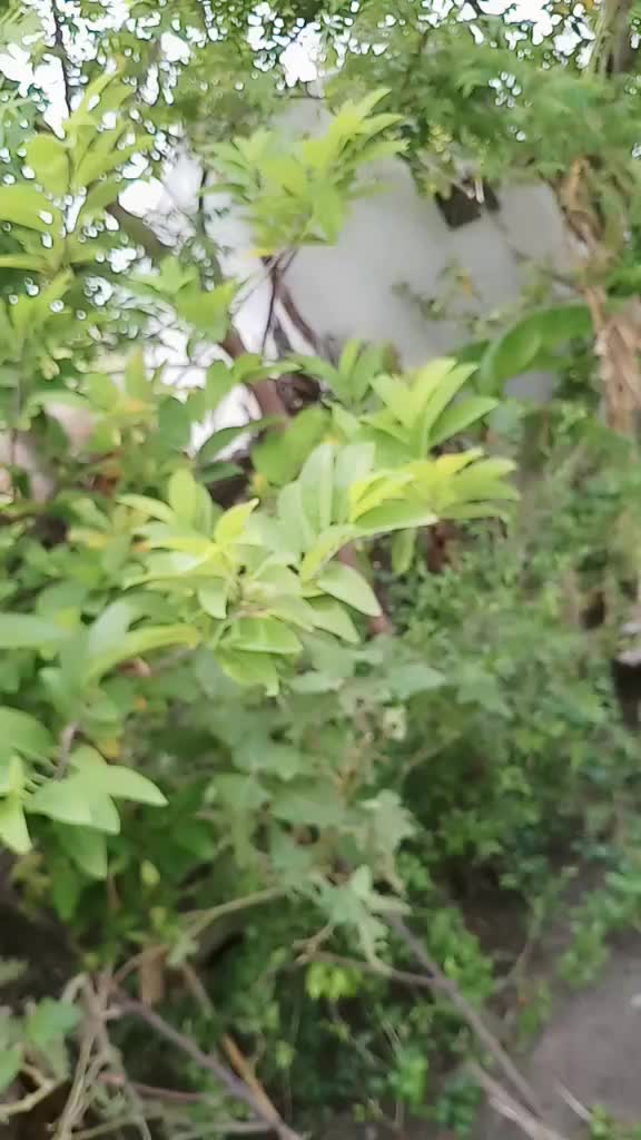@Dinesh Dinesh