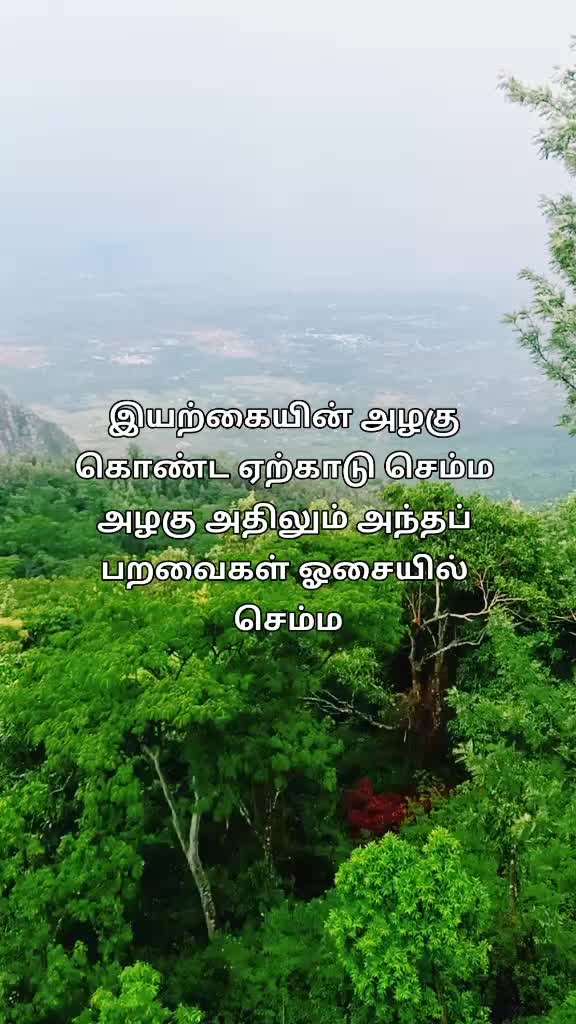 @esk337285
