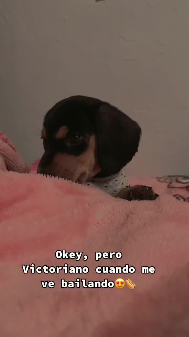 @Sofía 🤍