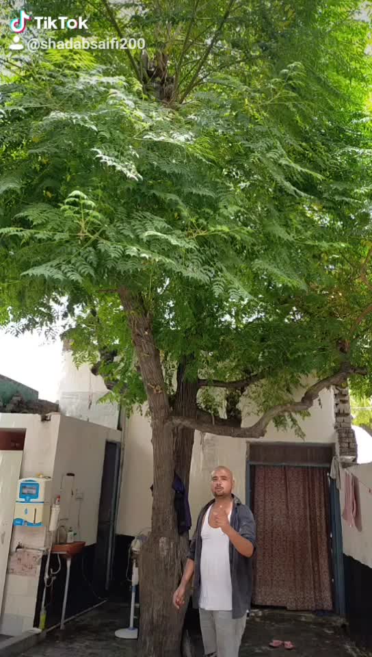 @Shadab Saifi