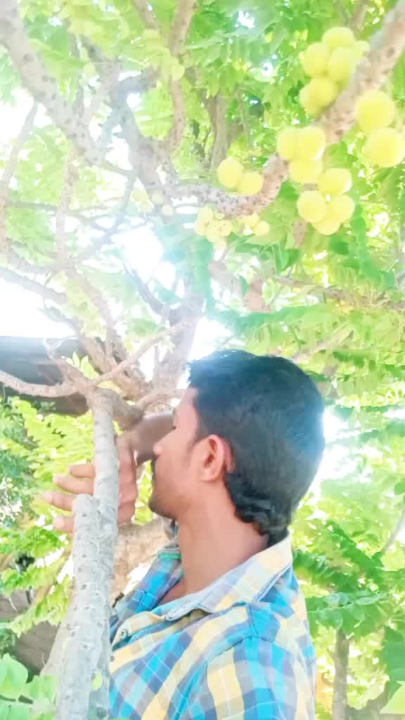 @esk337285
