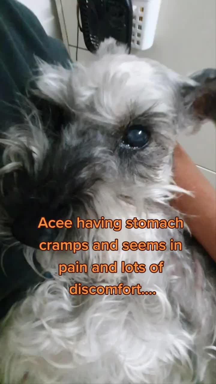 @Acee