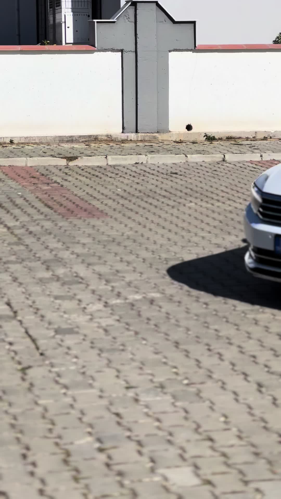 @Aziz Devrim Oğuz