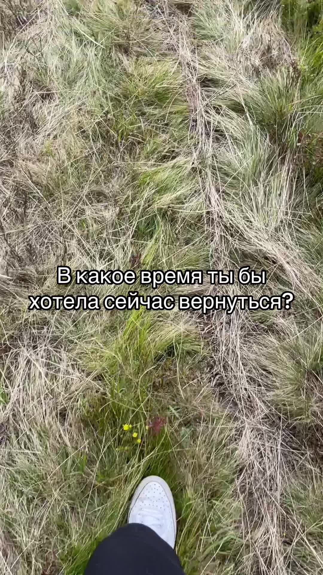 @anasteysha