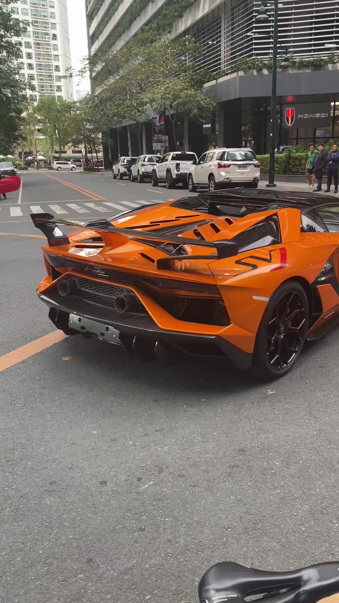 @Manila Exotics
