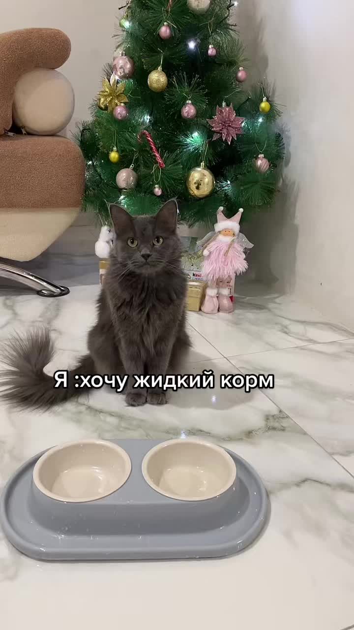 @Виолетта