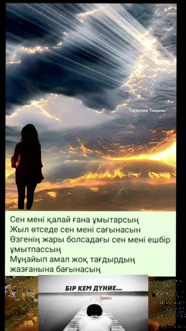 @Taraz0876