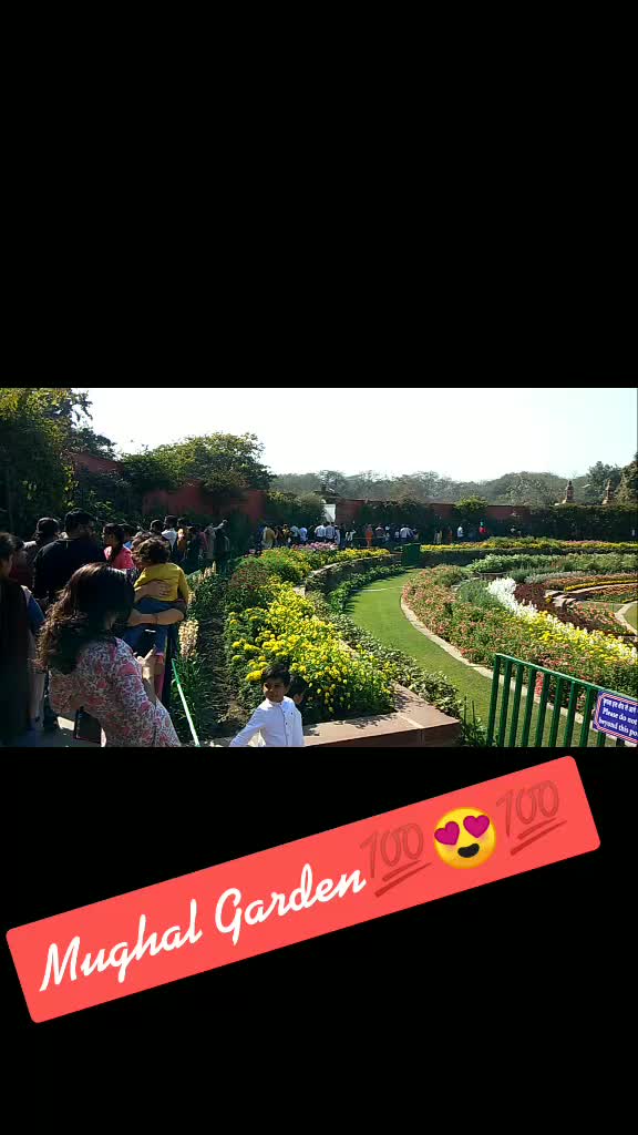 @dayma.mohit