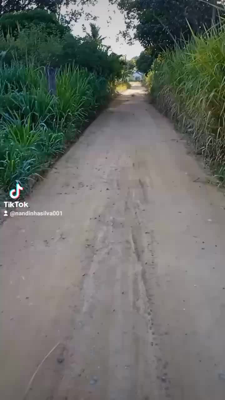 @Nanda silva