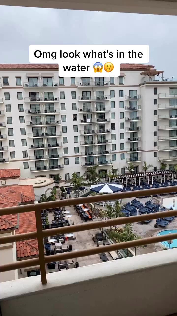 @tinyphoneguy