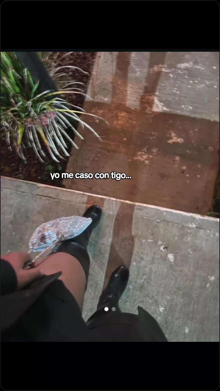 @Alex/a González