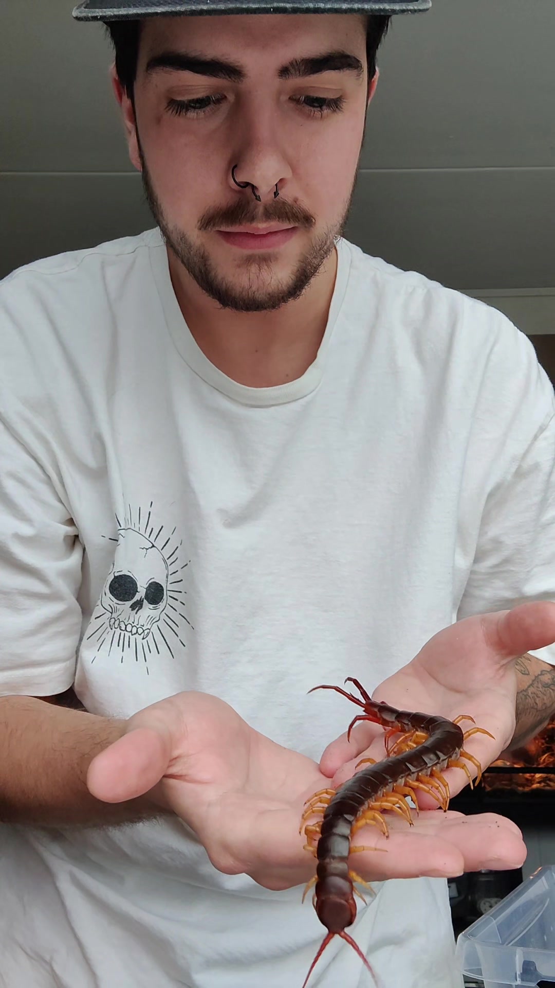 @Agkistrodonman