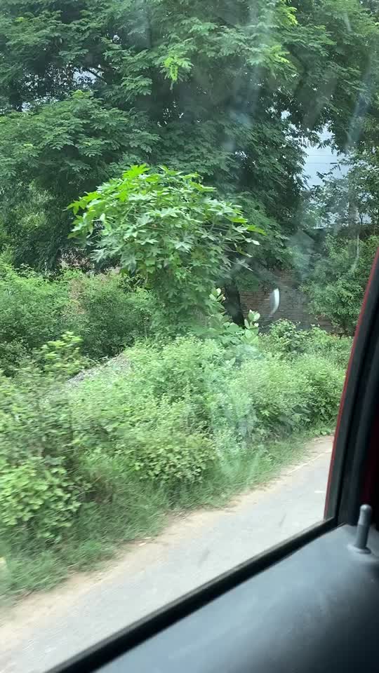@Ashutosh Rai