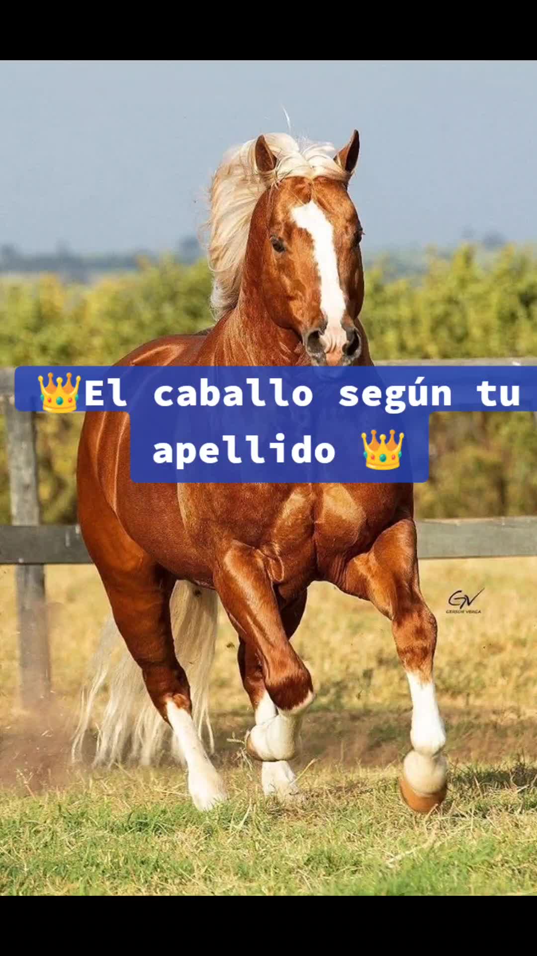 @Guillermo⚡☘️