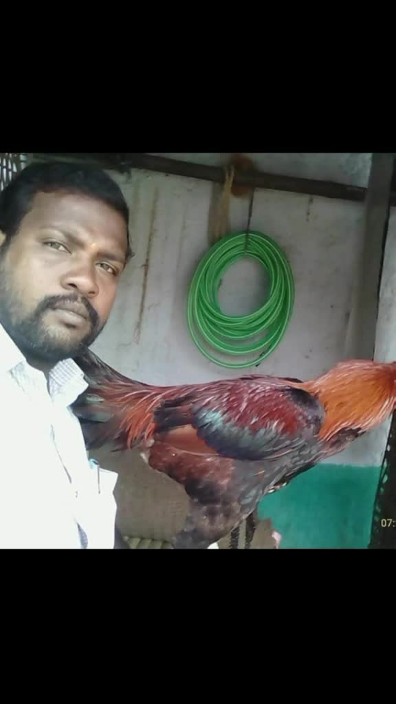 @Krishna
