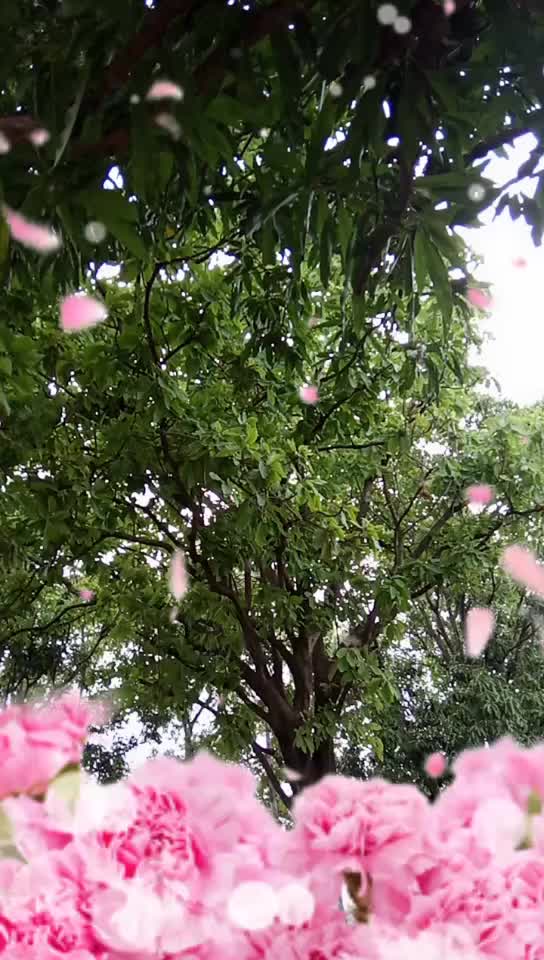 @Ramshekhar Singh