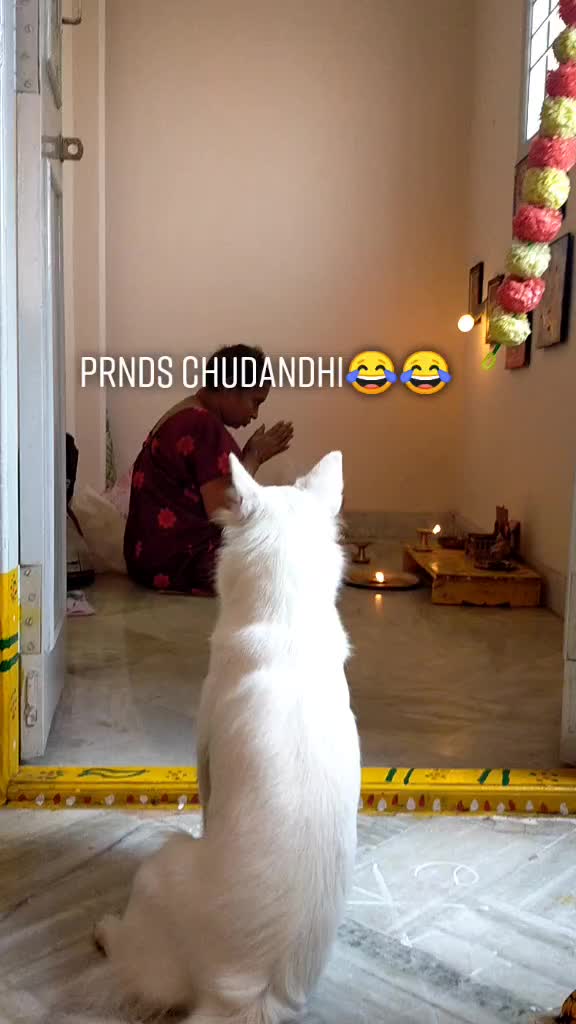 @sowdha