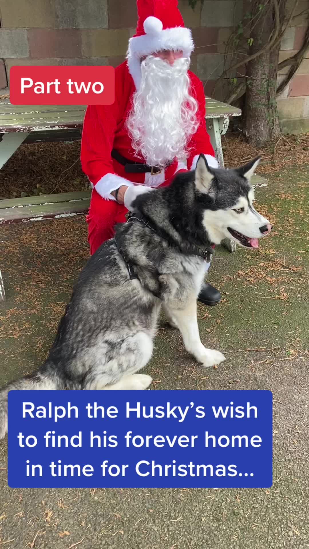 @LeicesterAnimalAid