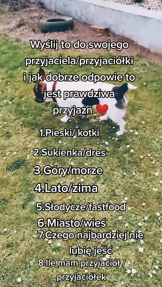 @❣️Reksio❣️