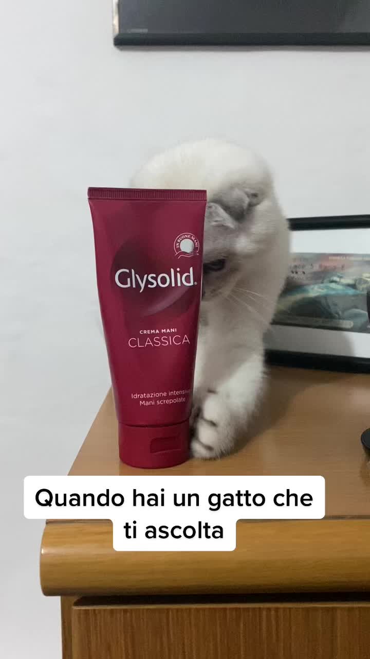 @ilariaborgonovo_