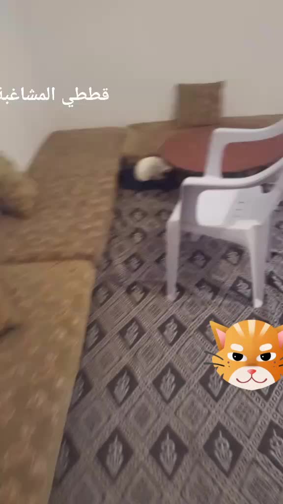 @user554193