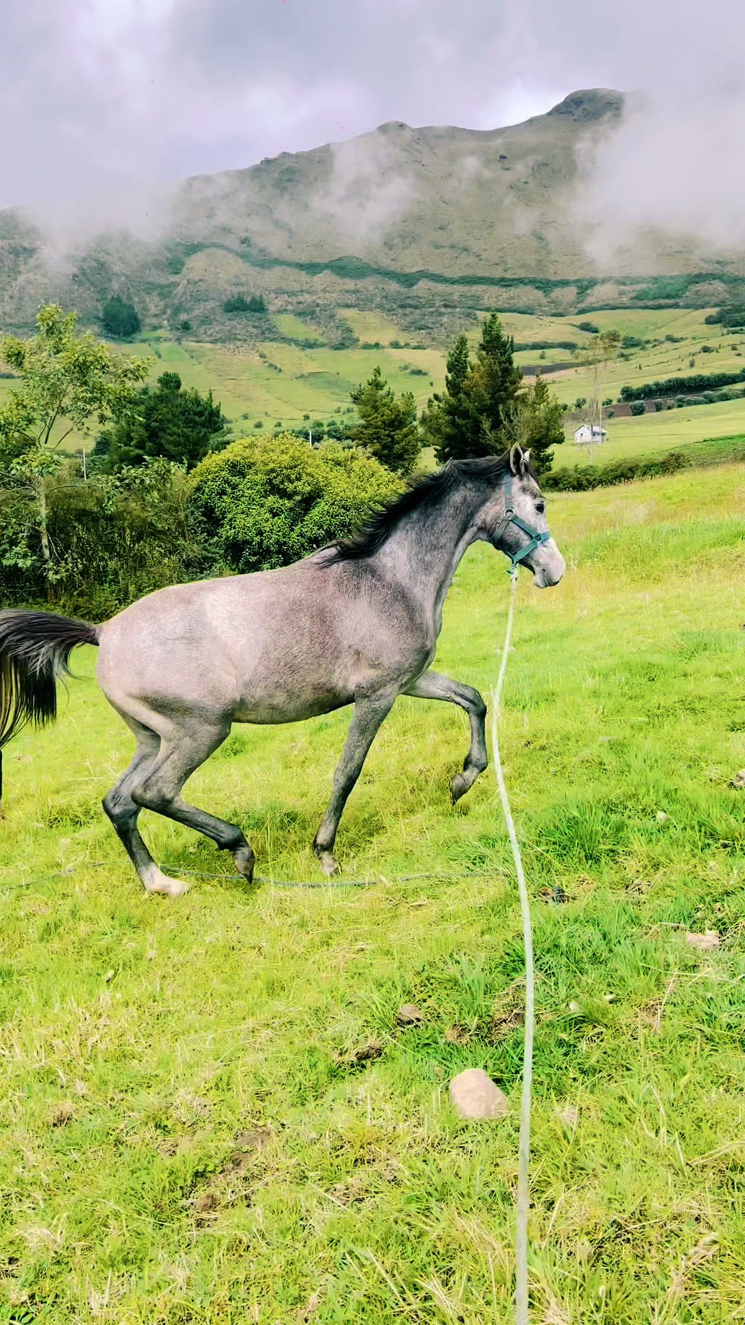 @gio_loja 𐚁&Omega;🐎