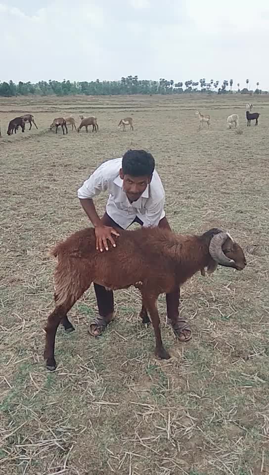 @Onnala Mallesh