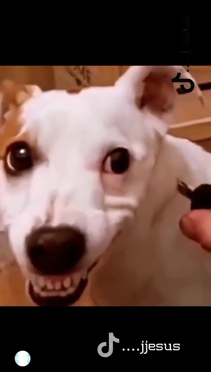 @✧ 𝕵𝖊𝖘𝖚𝖘 ✧