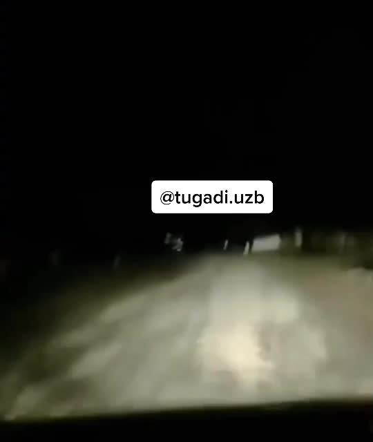 @tugadi.uzb