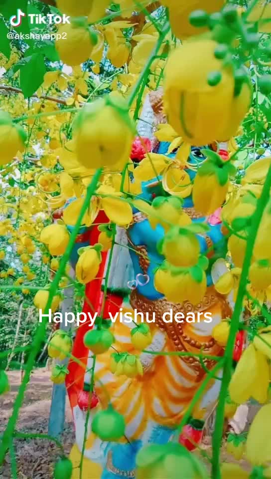 @Krishna.2255