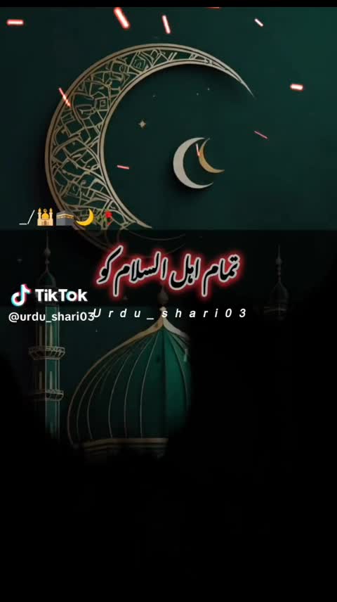 @mnaeem85475