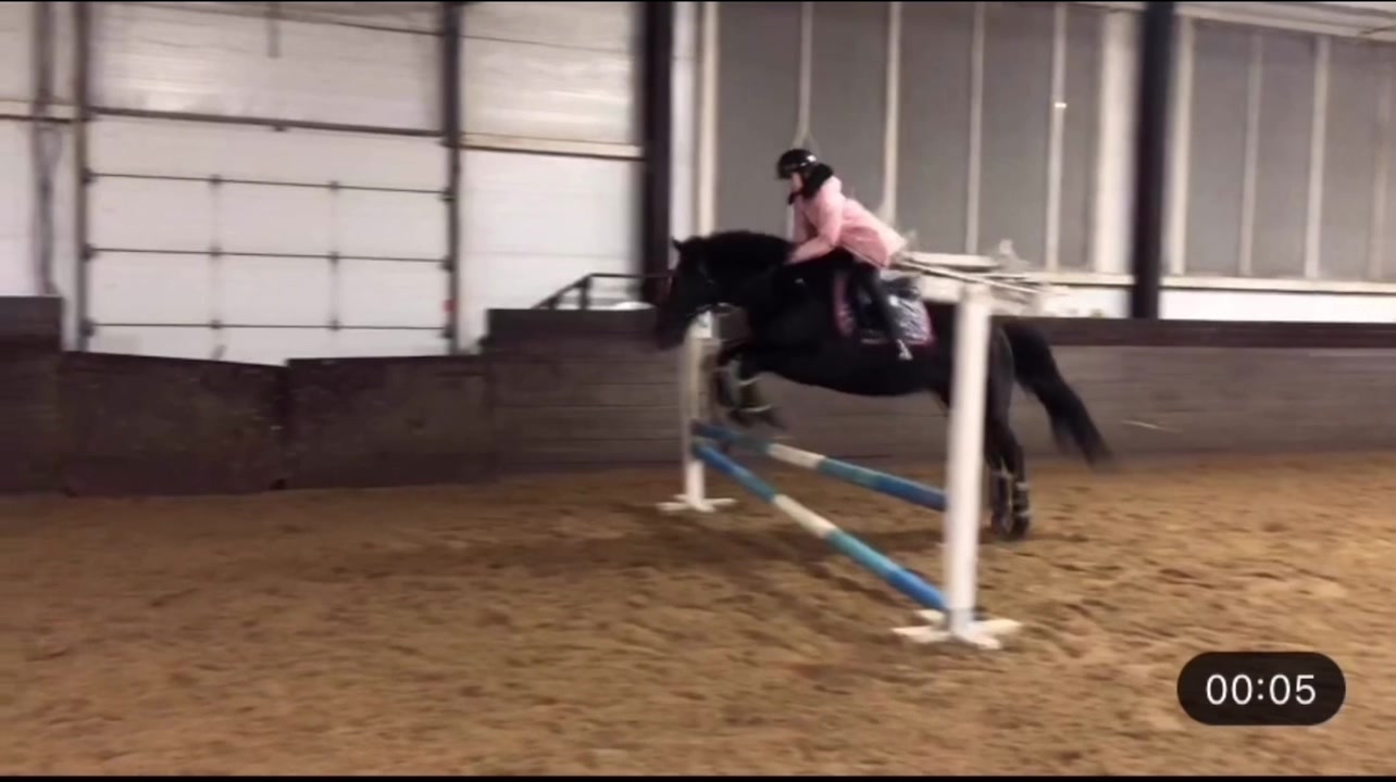 @horse riders