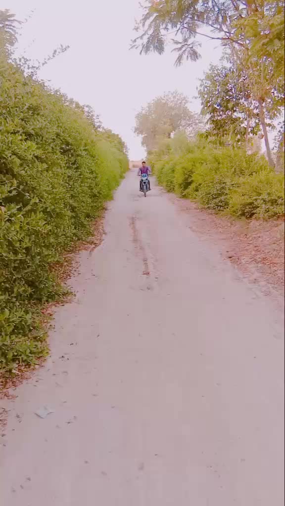 @Ramesh Rabari