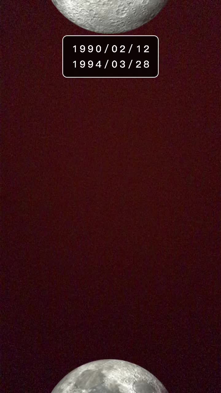 @N. Tuba Sarı&ccedil;avdar