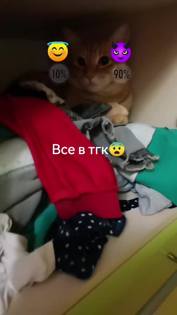 @Пбиджик