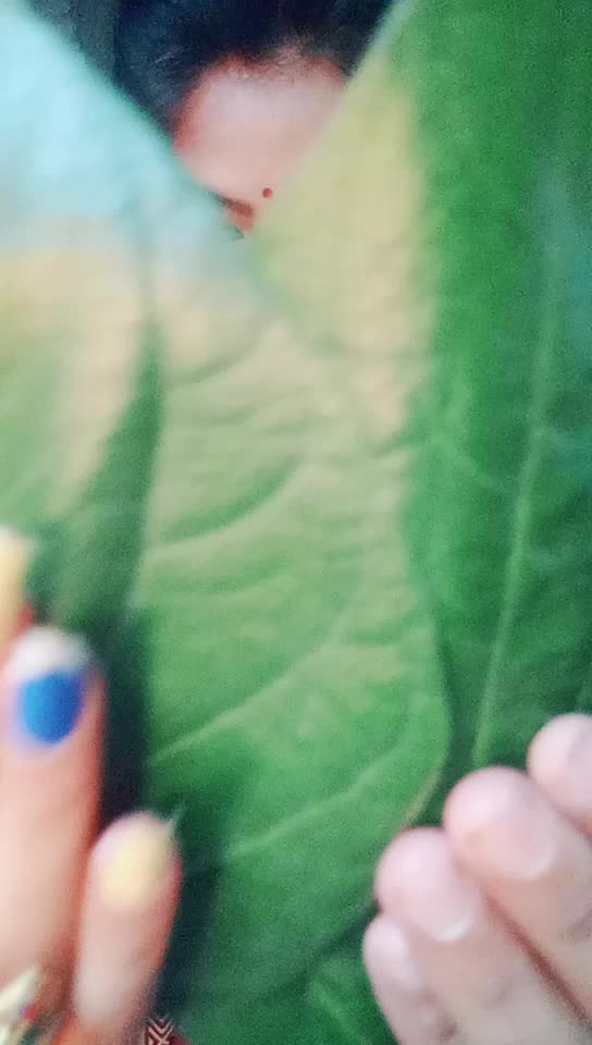 @Sefueli✔