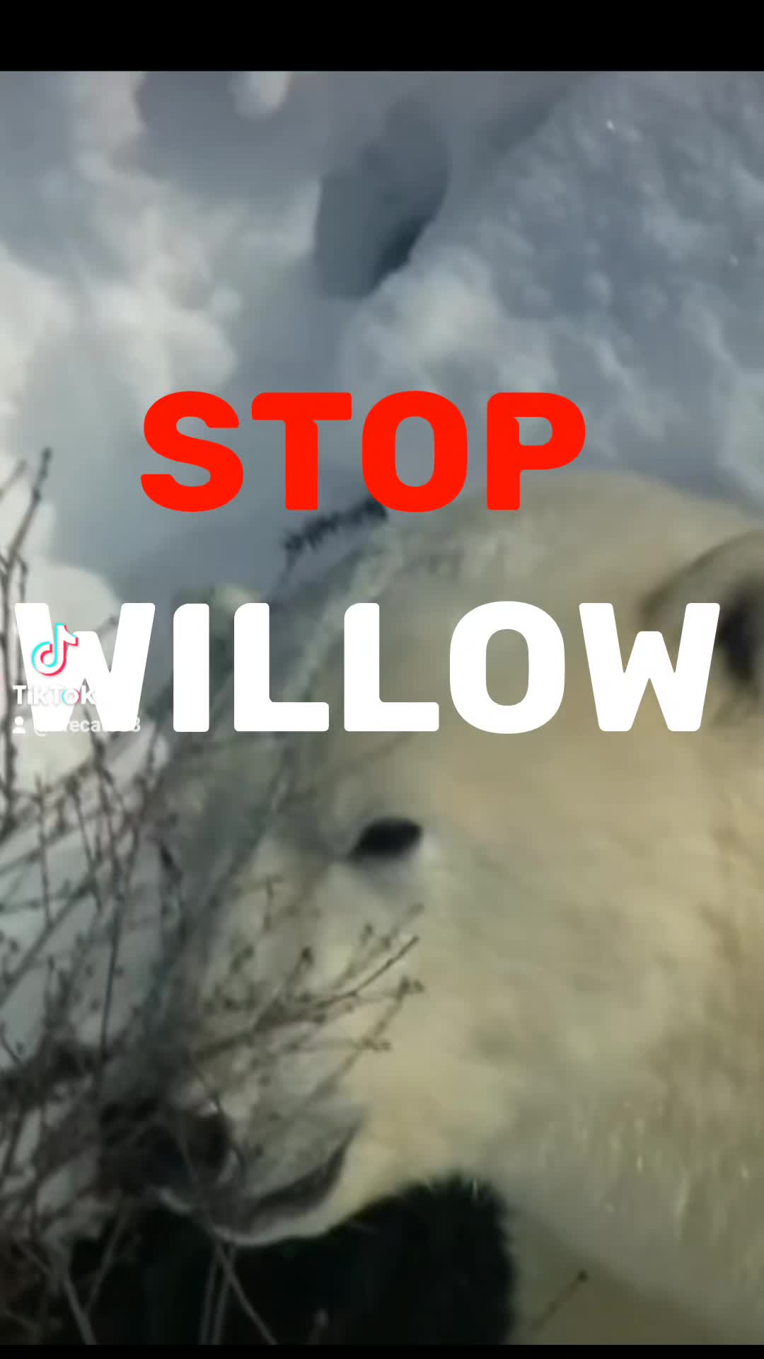 @♧︎︎︎ 𝓣𝓻𝓲𝓼𝓽𝓪𝓷 ♧︎︎︎